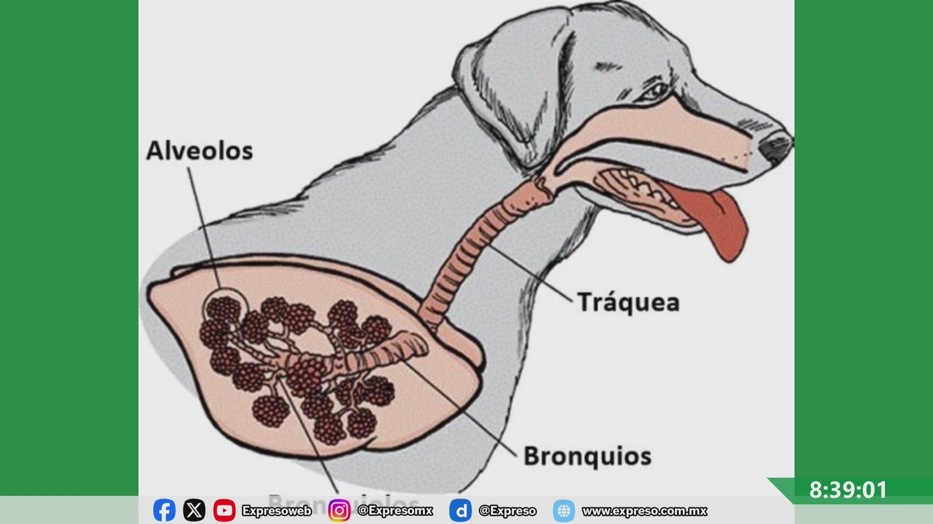 Profile Image for Expresoweb