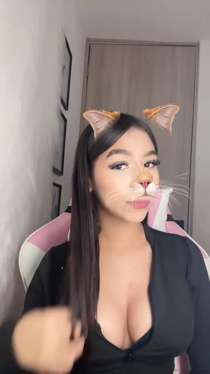 Profile Image for 𝐹𝐸𝑅🦈