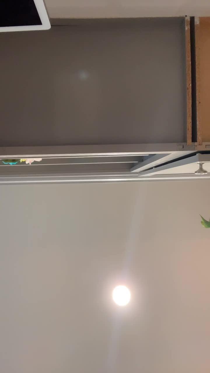 Profile Image for Buttercup✨🧪