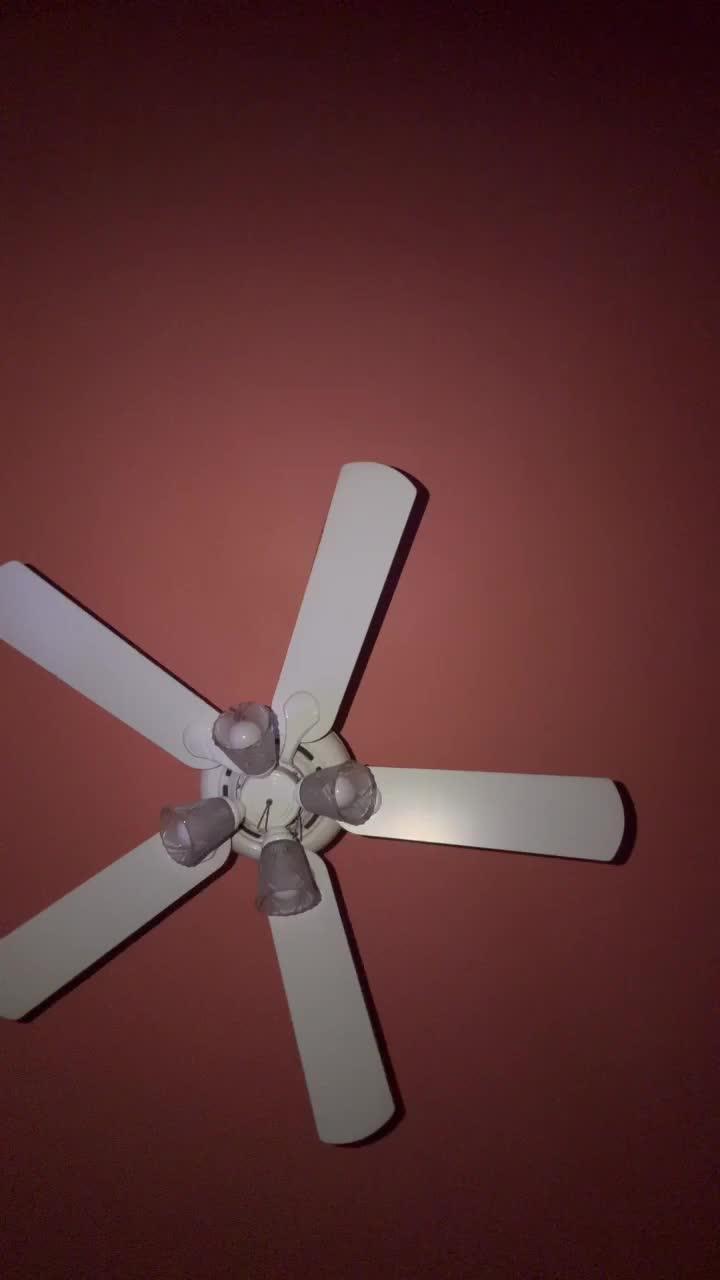 Profile Image for marlz🙂‍↕️🫶🏼