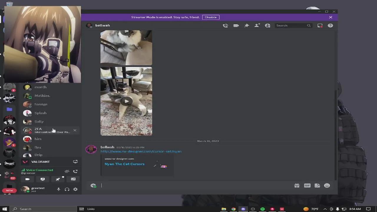 Stream Thumbnail