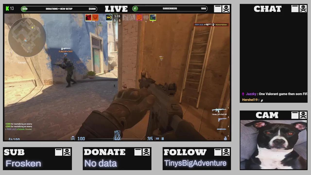 Stream Thumbnail