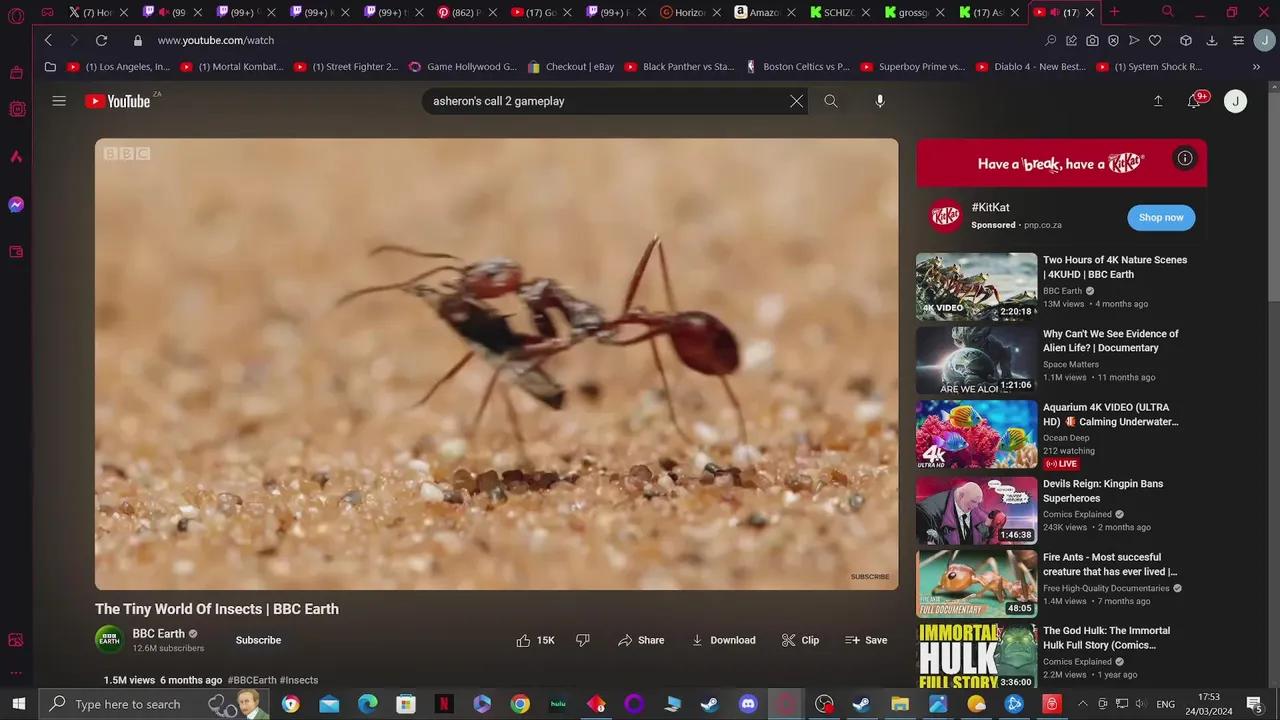 Stream Thumbnail