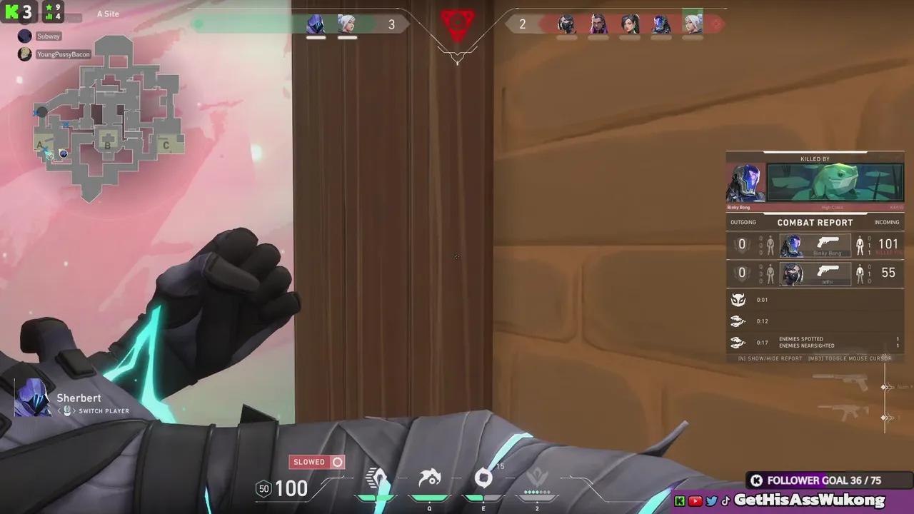 Stream Thumbnail