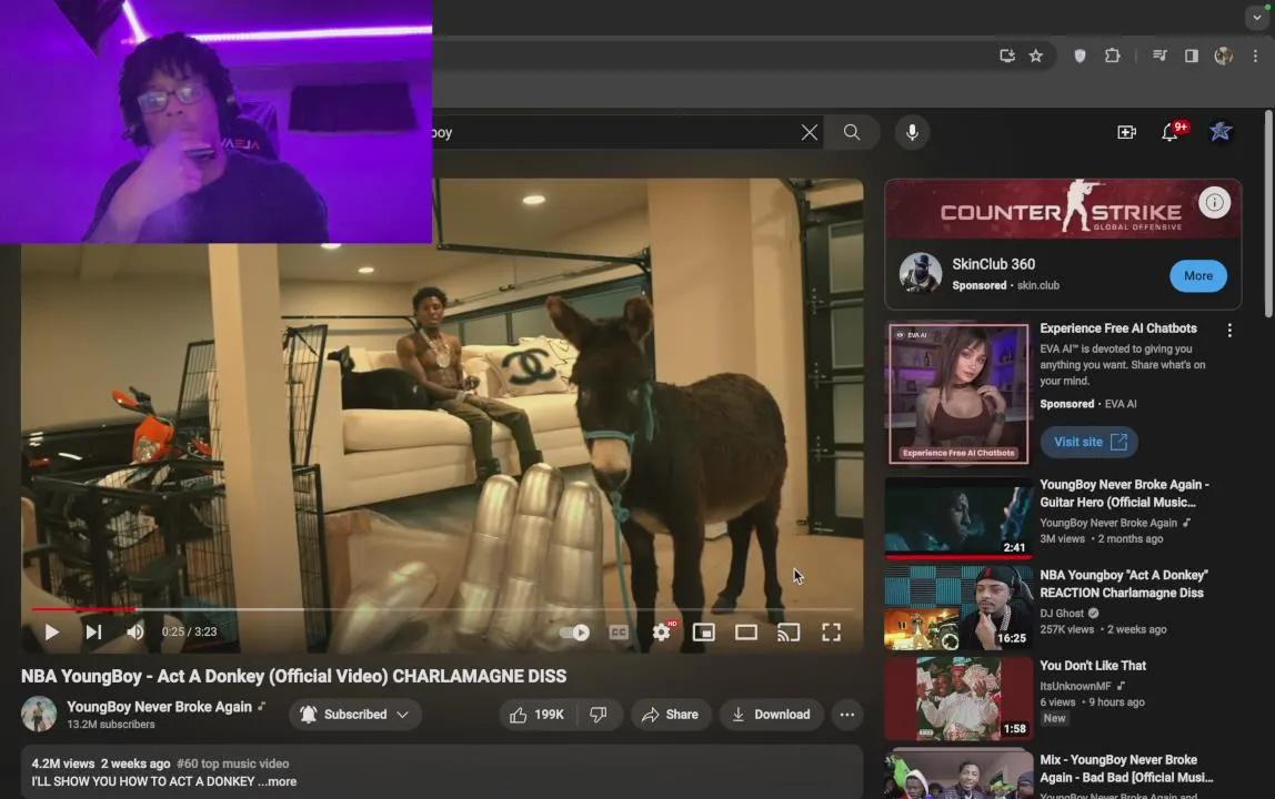 Stream Thumbnail
