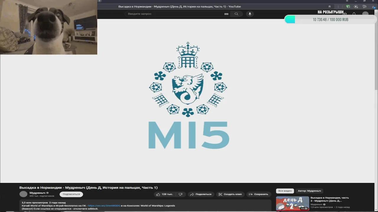 Stream Thumbnail