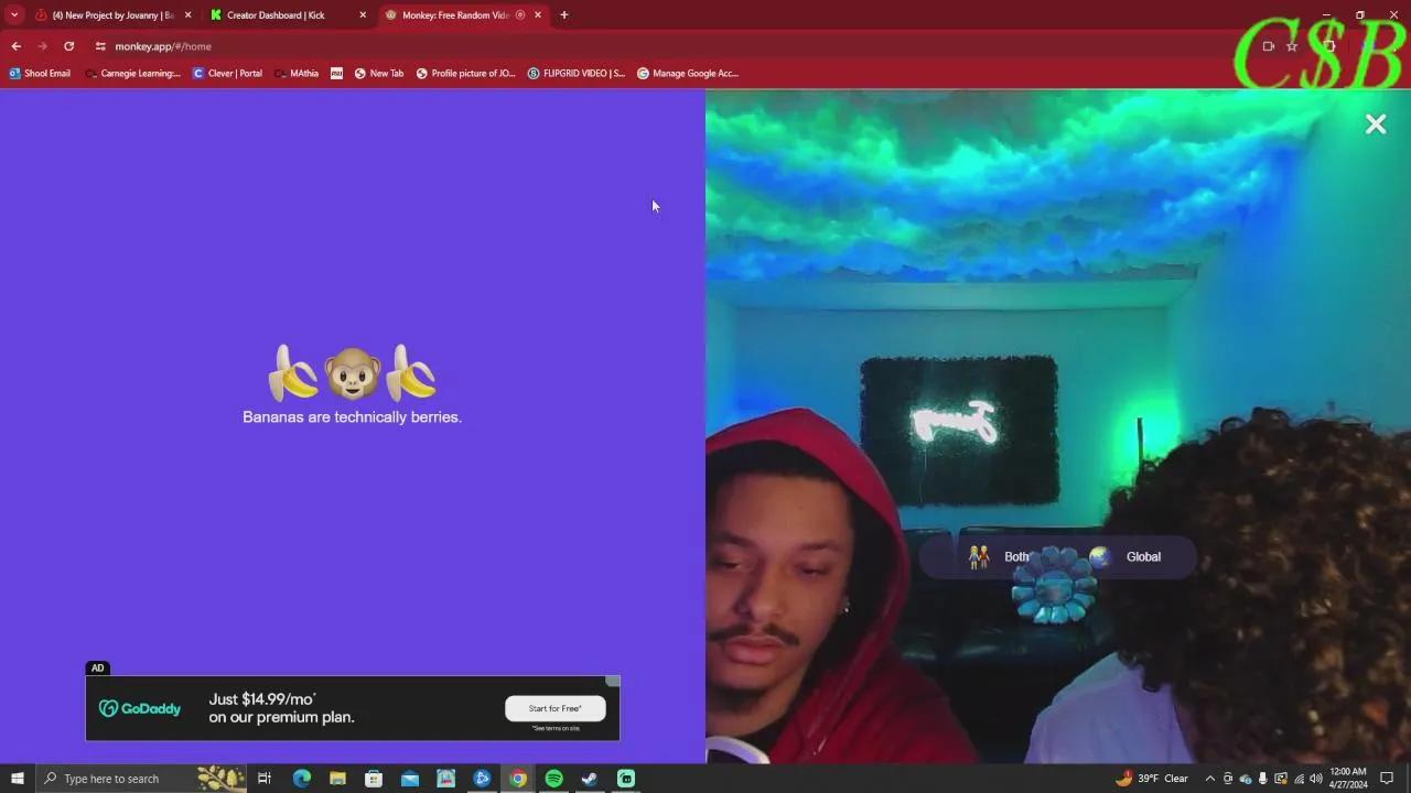 Stream Thumbnail