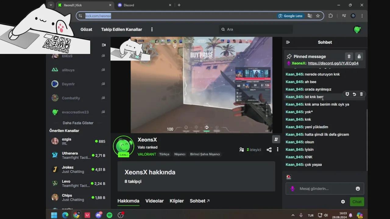 Stream Thumbnail