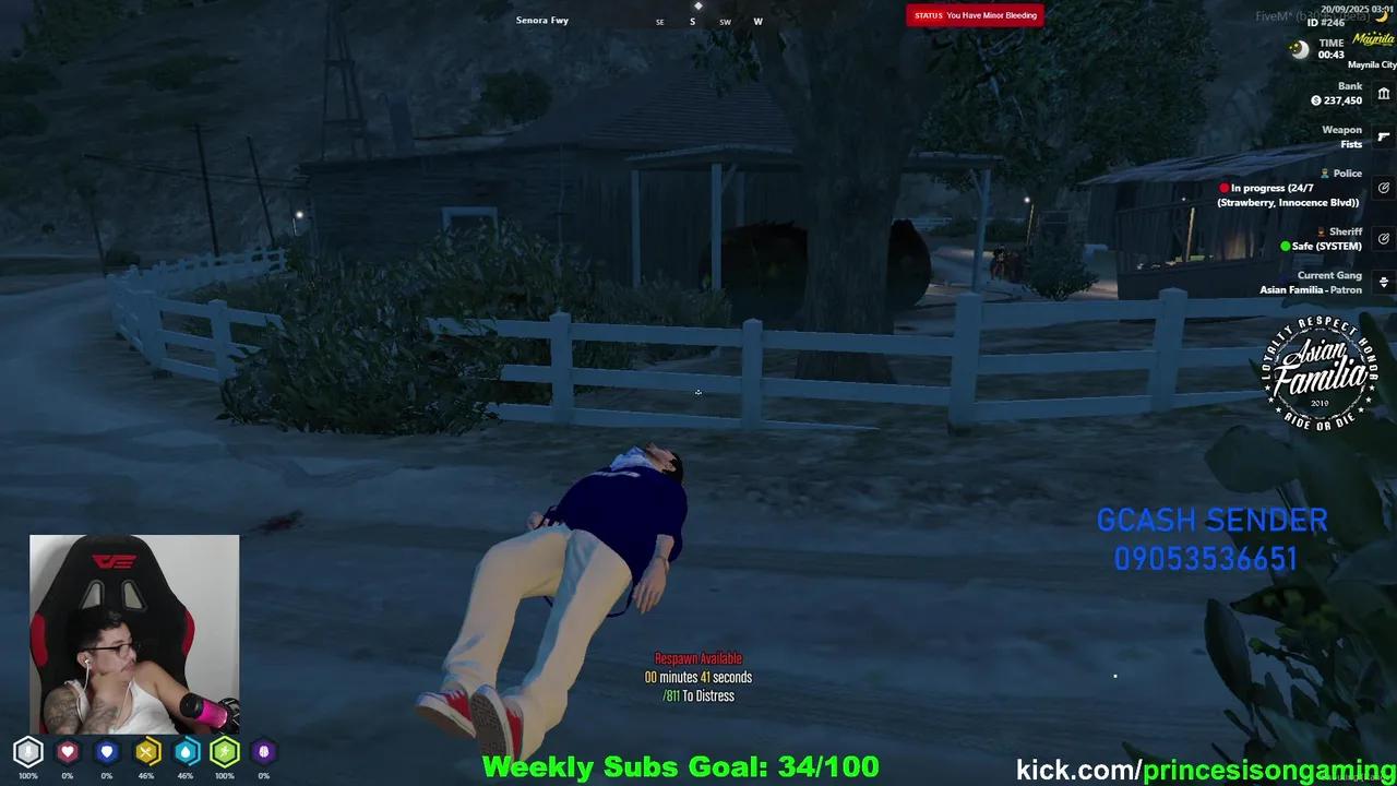 Stream Thumbnail