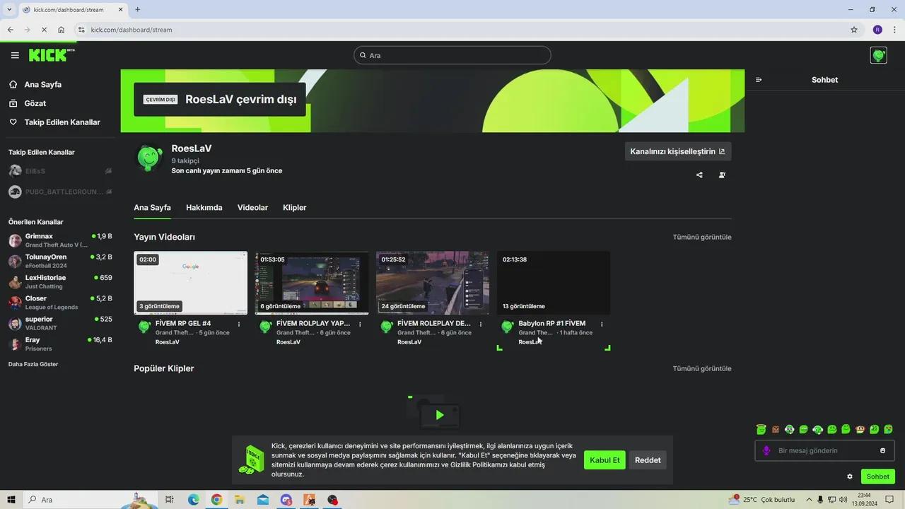Stream Thumbnail