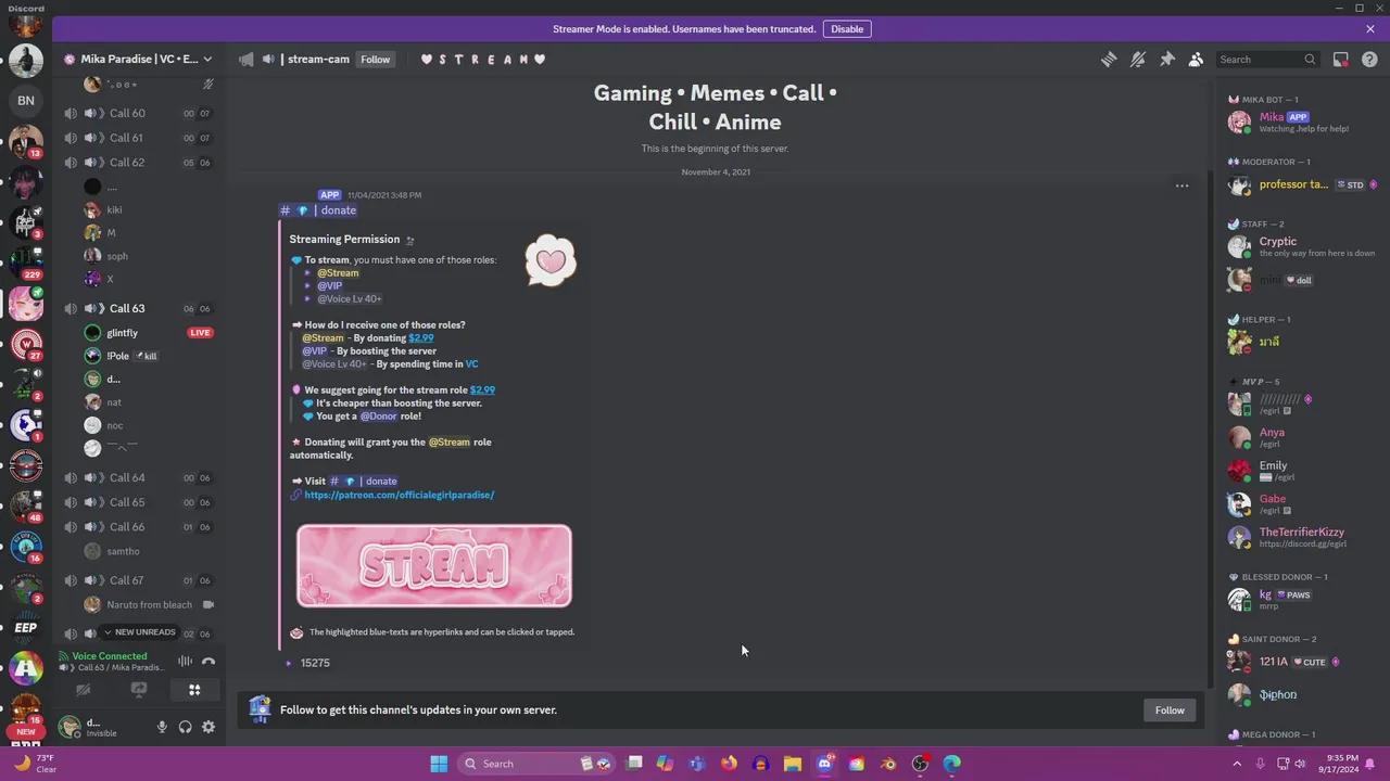 Stream Thumbnail
